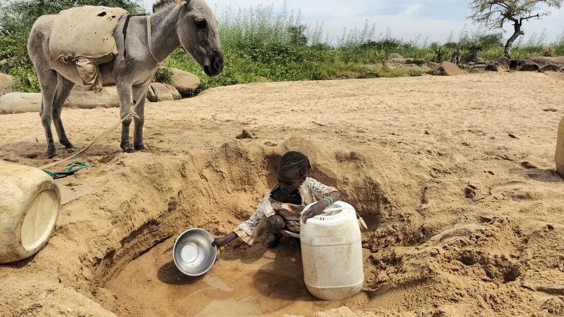 A young child kneels in a sandy pit, scooping water into a large container. A saddled donkey stands behind the child, to the left.